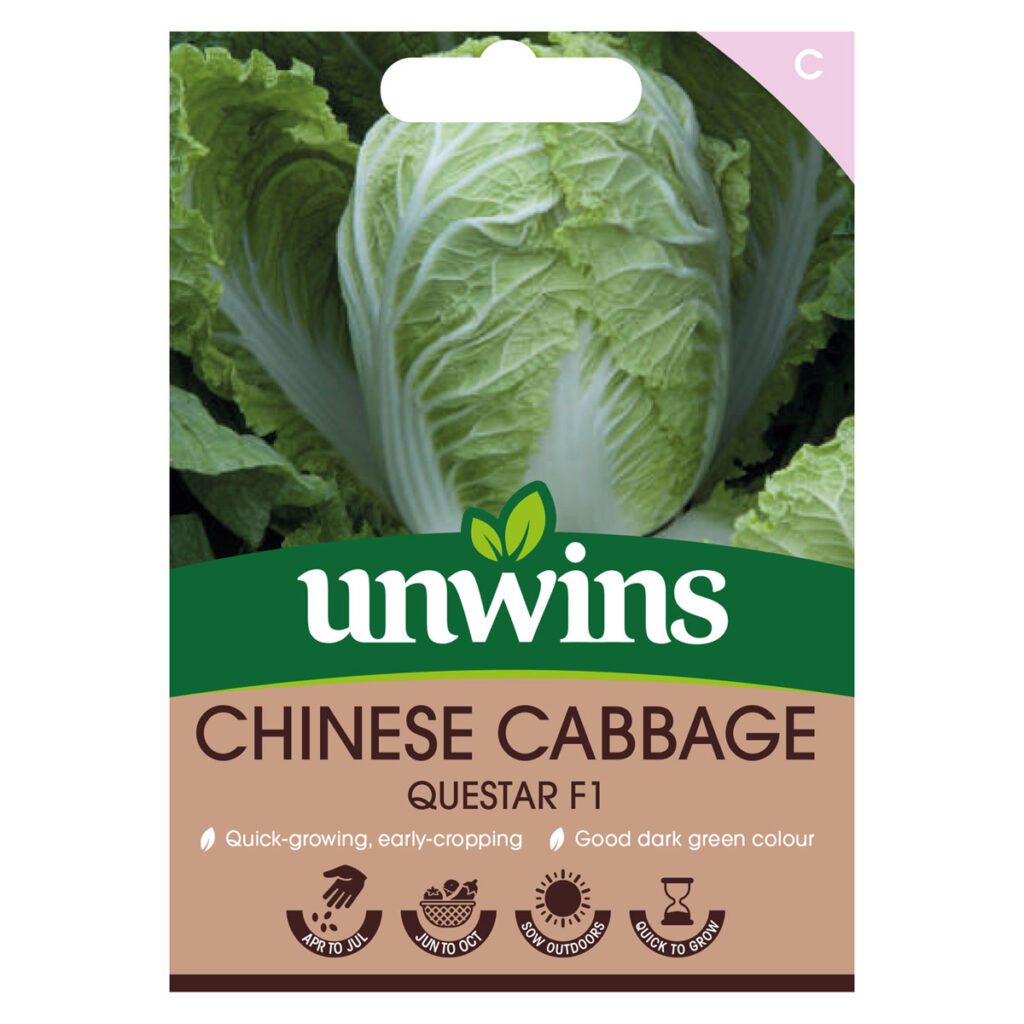 Unwins Cabbage Questar F1 Seeds 5051618034845 2
